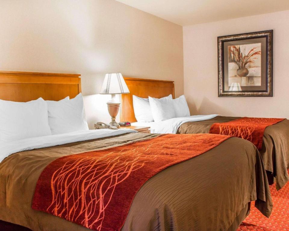 Best Western Plus Safford Eksteriør bilde